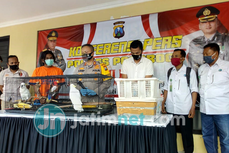 Jual Satwa Dilindungi, Pemuda Madiun Ditangkap
