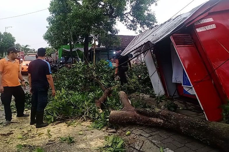Hujan Deras Disertai Angin di Mojokerto Robohkan Kandang Bebek, Pom Mini Hingga Atap Rumah Rusak