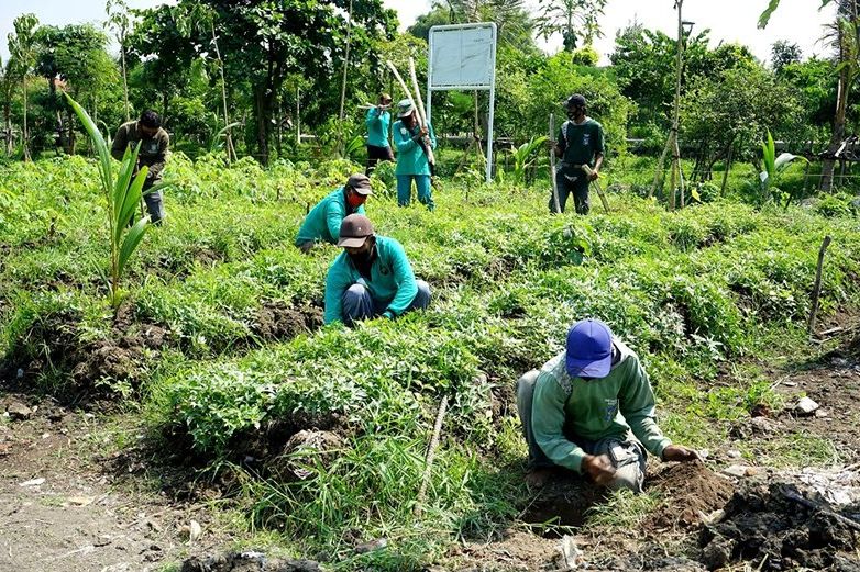 Hadapi Pandemi, Program Kedaulatan Pangan Disiapkan