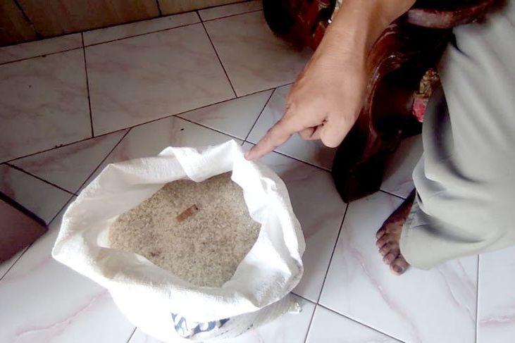 Puntung Rokok di Dalam Beras Bansos, DPRD Mojokerto Panggil Bulog