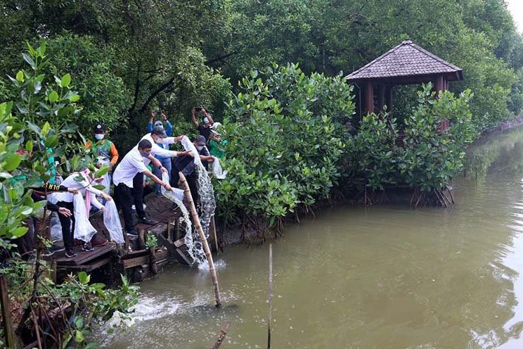 DSDABM Surabaya Tingkatkan Konservasi dengan Penanaman Pohon dan Tebar Benih Ikan Bandeng