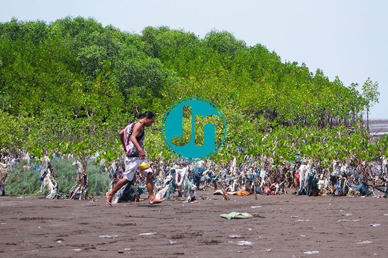 NELAYAN: Seorang nelayan tampak berlari diantara di antara hutan mangrove di tepi pantai. dubibir, desa Ketah, Kecamatan Suboh, Kabupaten Situbondo. Foto: Hozaini