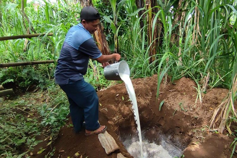 Sapi Tersuspek PMK, Peternak Sapi Perah di Ponorogo Buang Ratusan Liter Susu Tiap Harinya