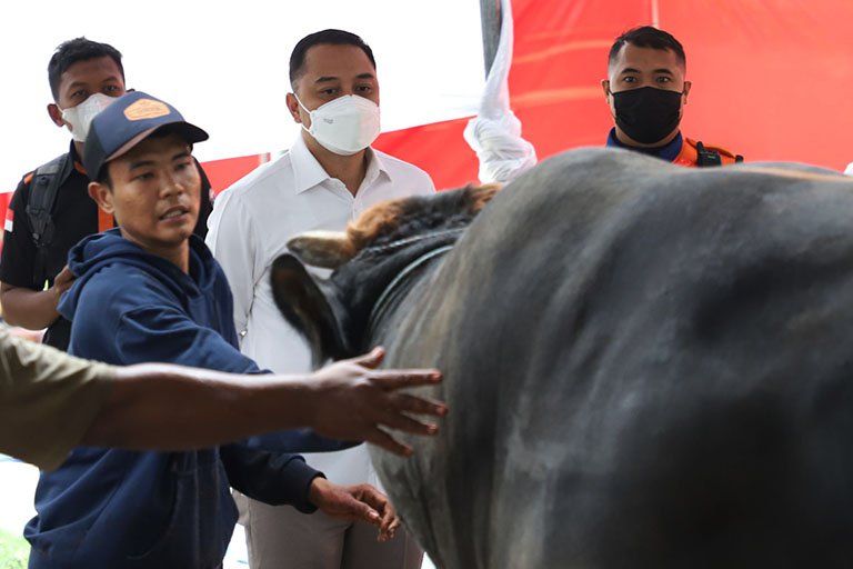 Wali Kota Eri Cahyadi Kembali Tegaskan, Tidak Buang Rumen di Sungai
