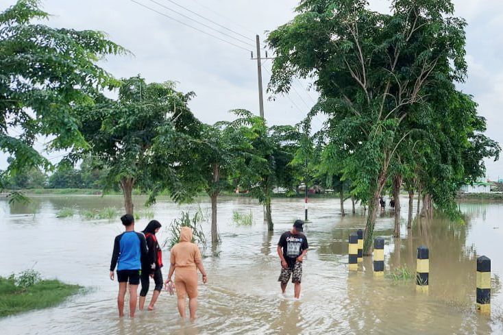 Dispertan Gresik Catat 4.547 Hektar Sawah Terendam Banjir Langganan Sungai Kali Lamong