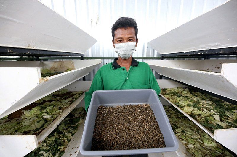 Lahan BTKD Tambak Wedi Dimanfaatkan untuk Urban Farming