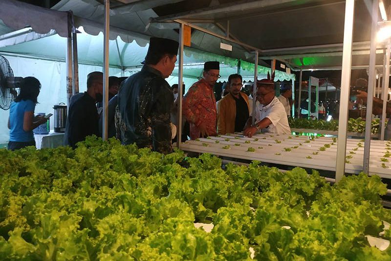 Diresmikan, <em>Fastaman Green </em>Jadi Taman Edukasi Berkonsep <em>Urban Farming </em>Pertama di Sidoarjo