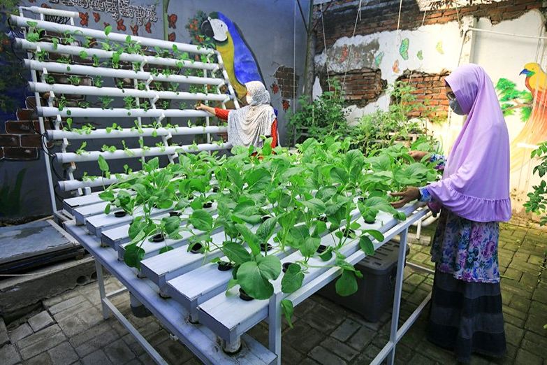 Pengembangan Urban Farming dan Diversifikasi Pangan Kota Surabaya