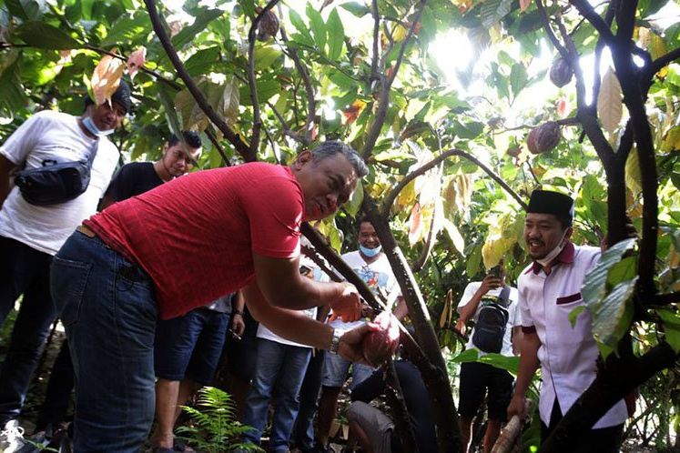 Kantongi CSHE, Wisata Kampung Coklat Blitar Sudah Dibuka