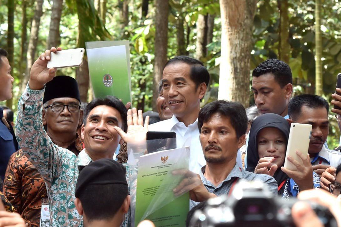 Jokowi Harap Produksi Sawit Tidak Bertambah