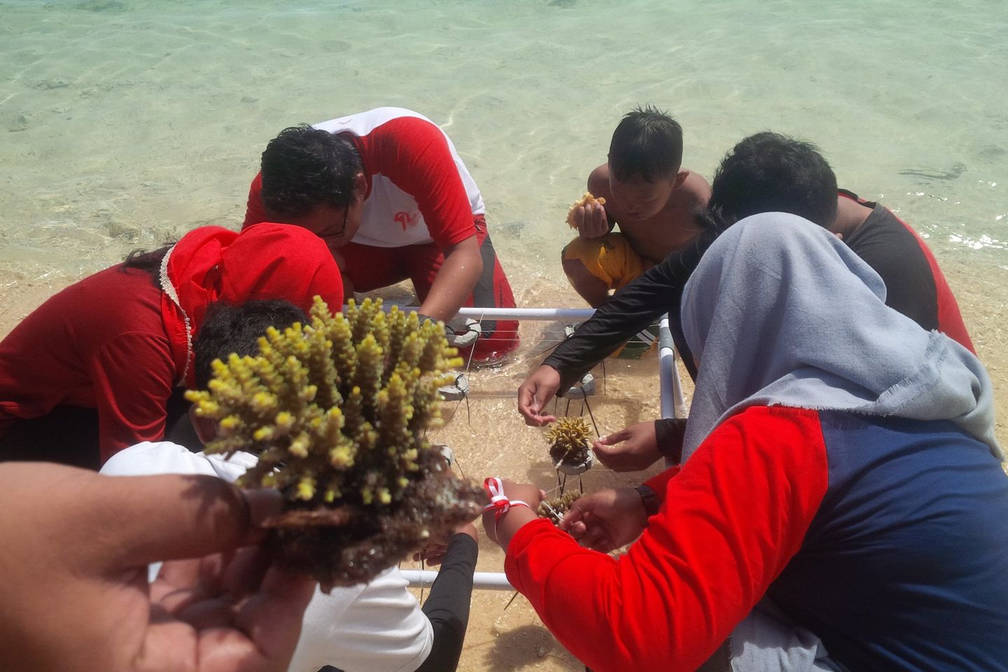 Upaya Nelayan Banyuwangi Menanam Terumbu Karang