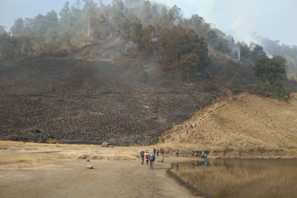 Pendakian Semeru Ditutup Total Akibat Karhutla