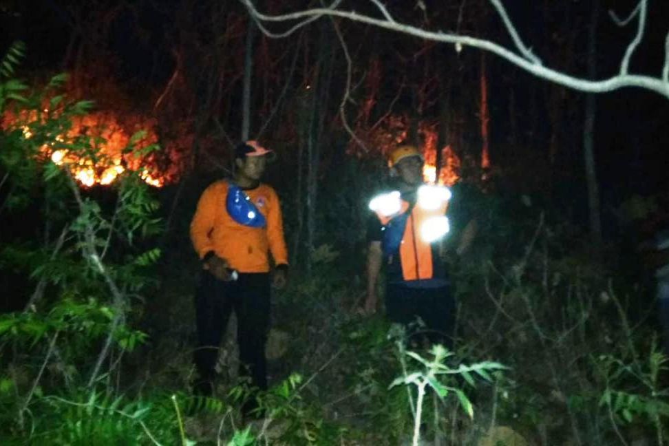Sejak Juni, Lebih dari 20 Hektare Hutan di Magetan Terbakar