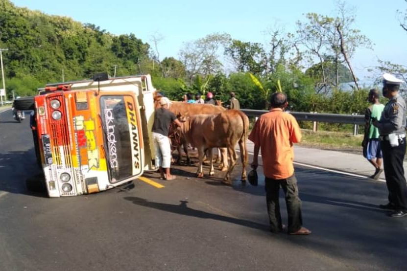 Setahun 112 Nyawa Melayang di Jalur Pantura Situbondo