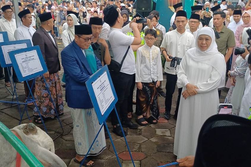 Penjualan Hewan Kurban di Jatim Naik 30 Persen di Tengah Krisis Global