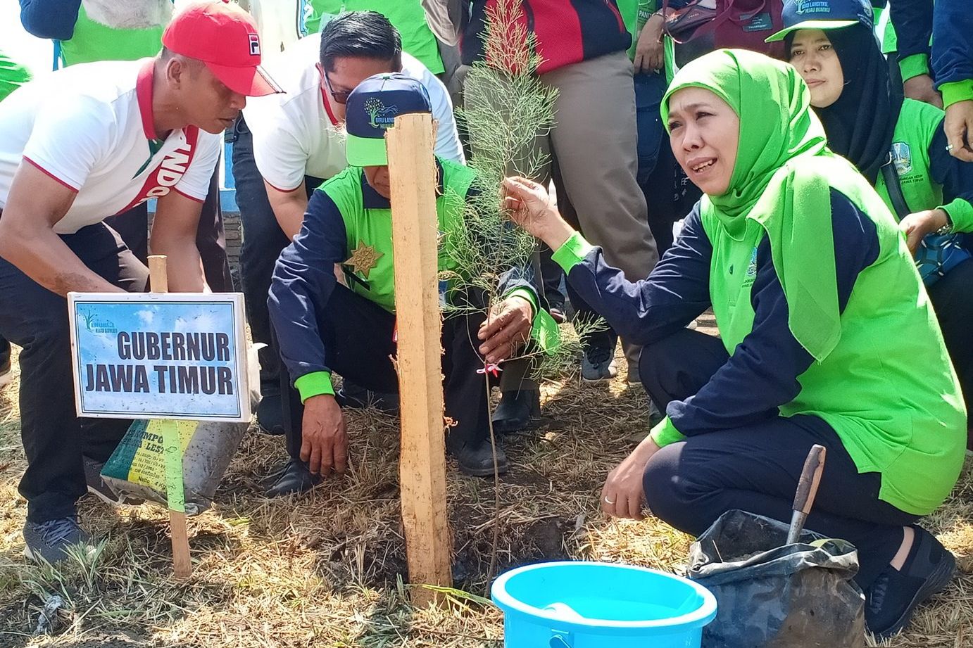Gubernur Jatim Ajak Masyarakat Tanam Cemara Udang di Sepanjang Pantai