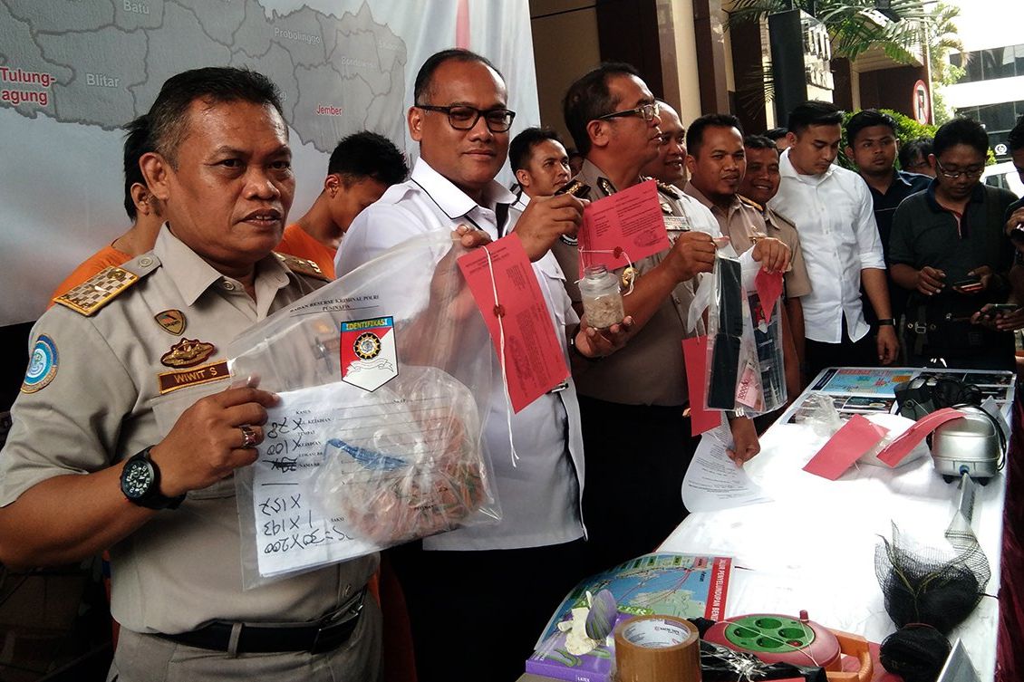Penyelundupan Benih Lobster Senilai Rp 1,5 Miliar Digagalkan Polda Jatim