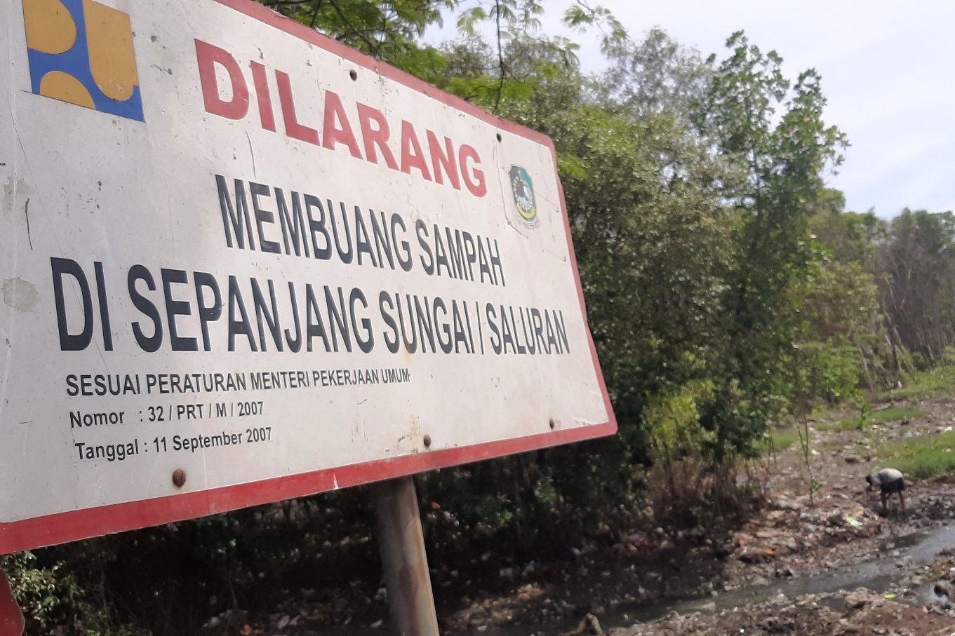 Pemerintah Banyuwangi Akui Salah Rencanakan Babat Mangrove Pantai Marina Boom