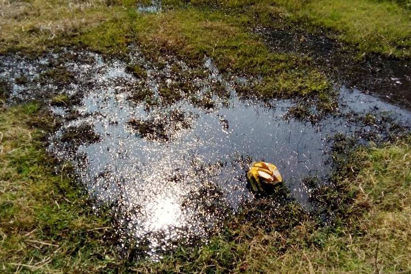 Pengiriman Limbah Cair di Areal Sawah Dihentikan, Sampel Diuji