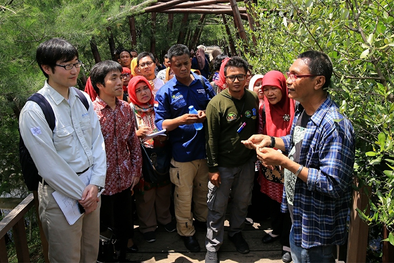 Pemkot Kitakyushu Jepang Teliti Ekosistem Mangrove