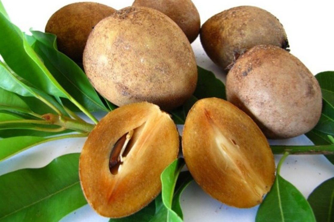 Memiliki Beragam Nutrisi, Buah Sawo Baik Untuk Kesehatan dan Kecantikan