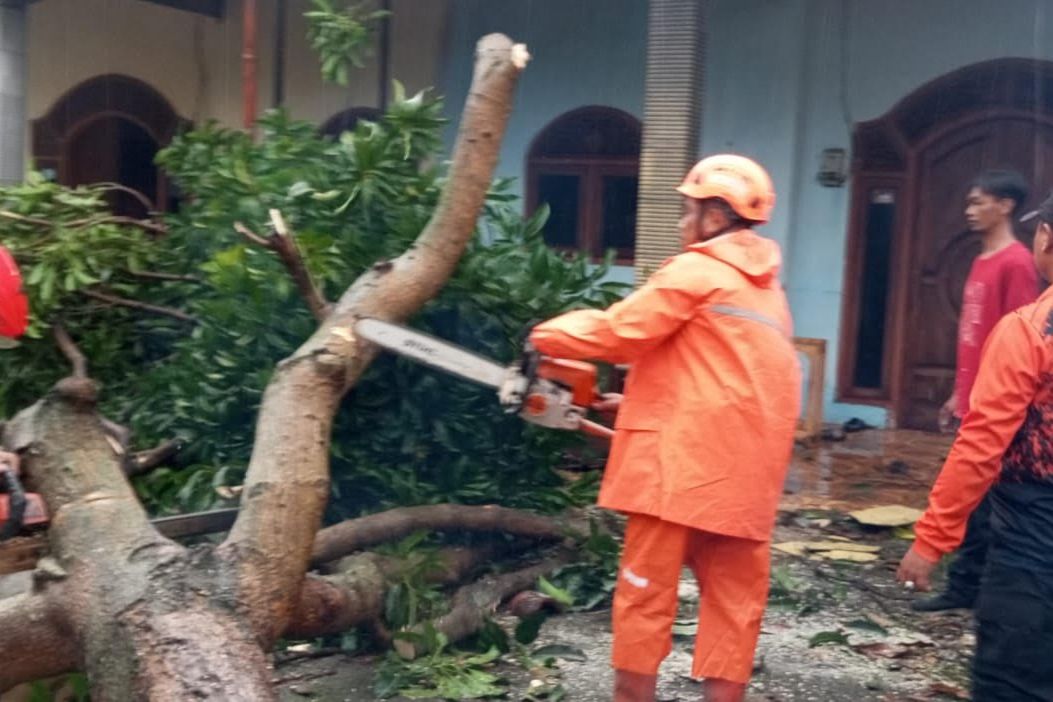 Angin Kencang di Kutorejo Robohkan Pohon dan Rusak Puluhan Rumah Warga