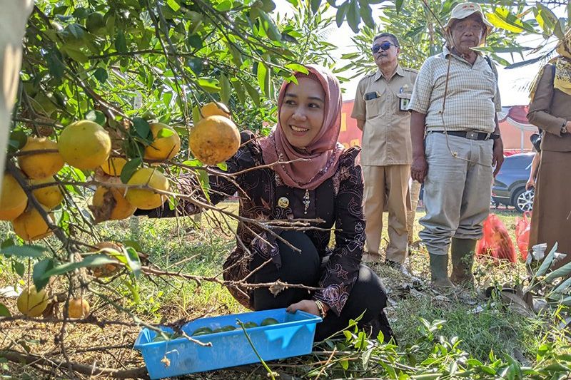 Peletakan Batu Pertama Tanda Dimulainya Pembangunan Tujuh Proyek Strategis TBM