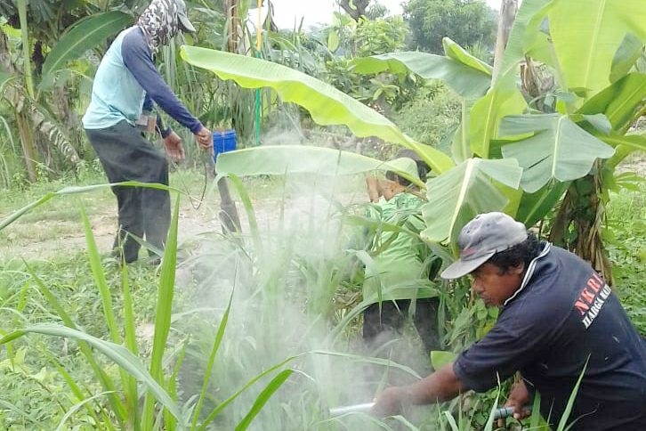 Dianggap Bahaya, PLN Akan Putus Aliran Listrik untuk Jebakan Tikus