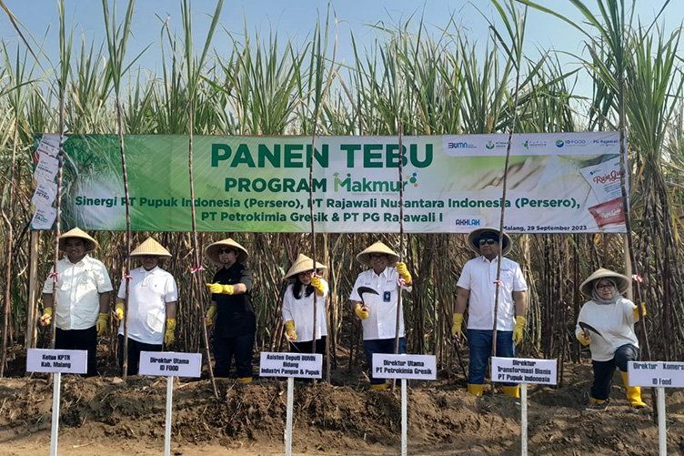 Produktivitas Tebu di Malang Naik 9,4 Persen