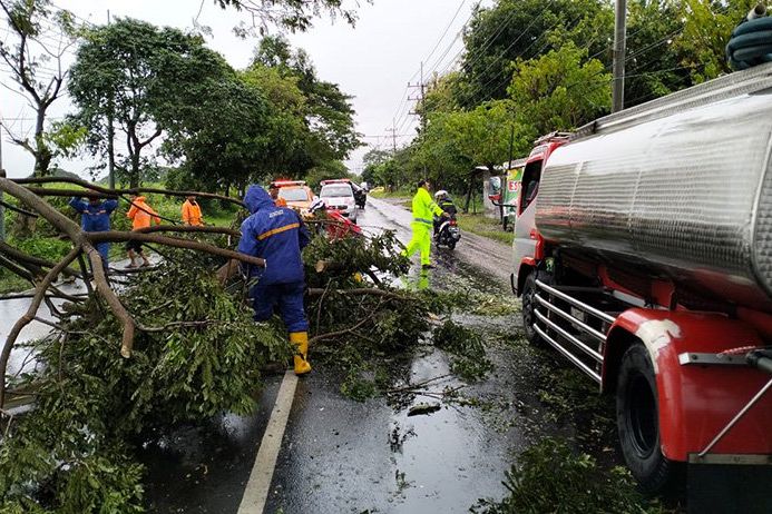 Hujan Deras Disertai Angin, Pohon Trembesi Tumbang di Bangsal Mojokerto Menimpa Truk Tangki