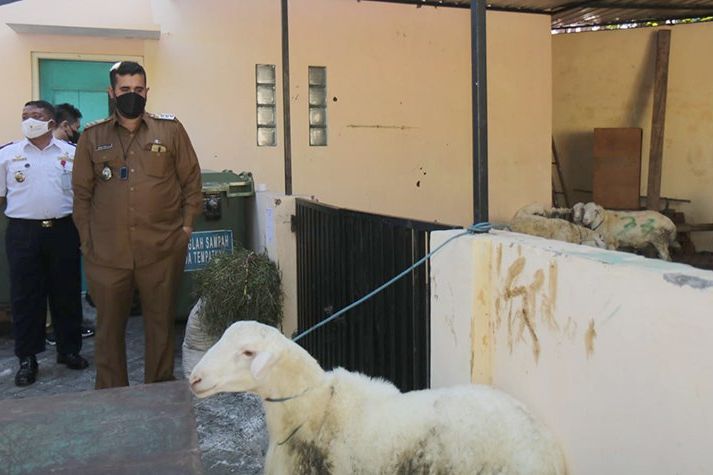 Wali Kota Probolinggo Salurkan Bantuan Hewan Kurban, di Tengah Pandemi