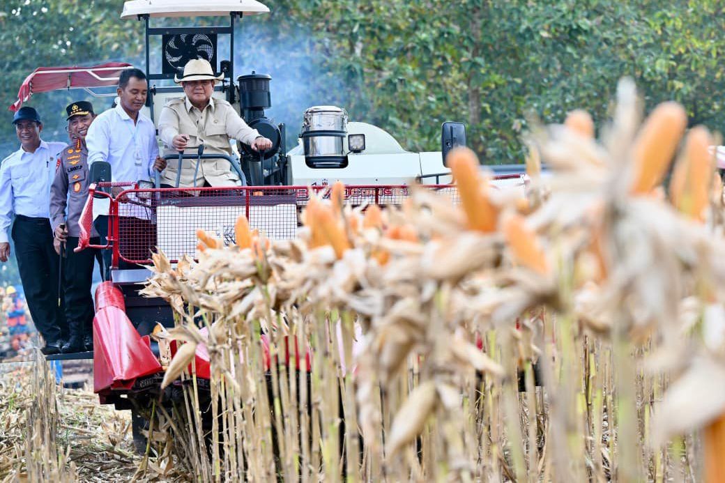 Prabowo Panen Jagung di Tuban, Resmikan 10 Gudang Ketahanan Pangan Polri