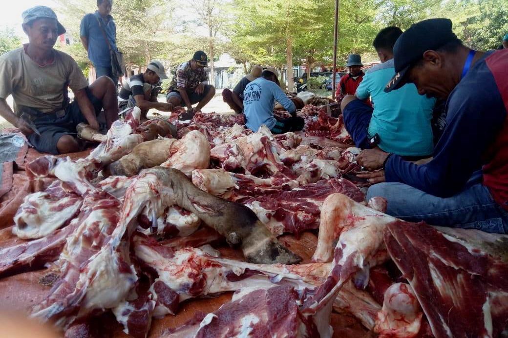 Pemkab Situbondo Musnahkan Temuan Daging Ternak yang Rusak