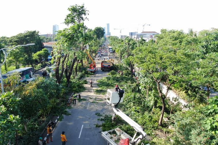 Pemkot Surabaya Manfaatkan Daun dan Batang Pohon untuk Kompos dan Mebel