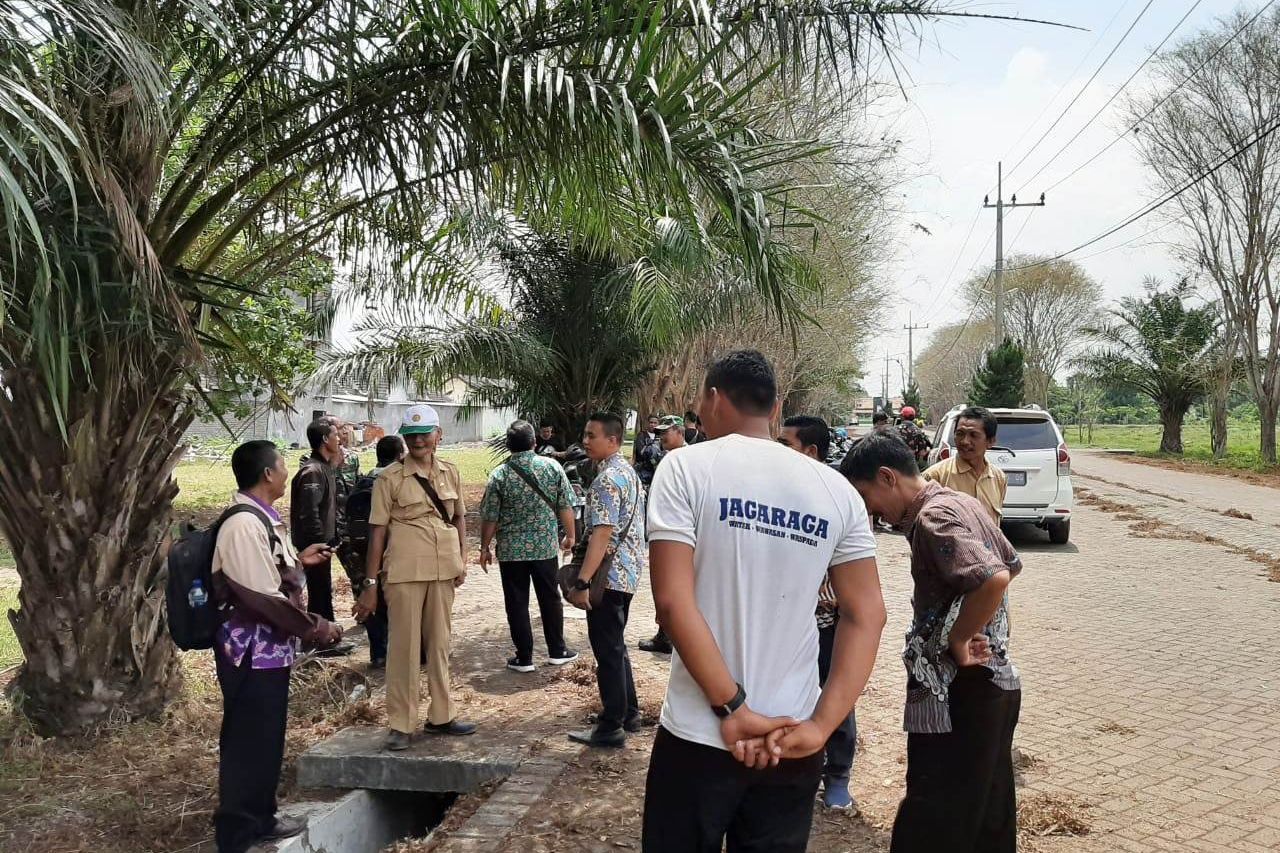 Ini Jenis Ulat Yang Resahkan Warga Probolinggo