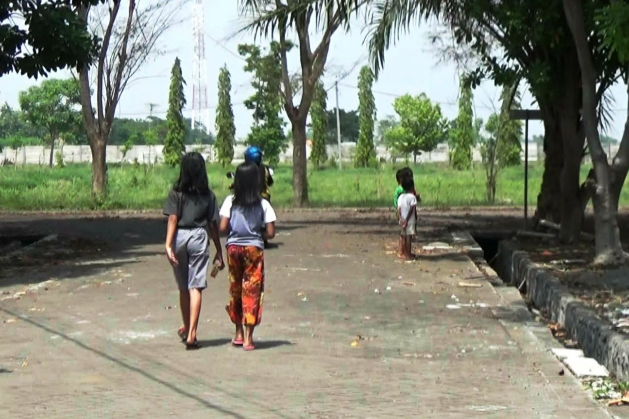 Warga Probolinggo Keluhkan Kemunculan Ribuan Ulat