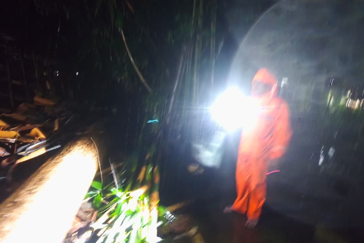Pohon Tumbang Timpa Dua Pengendara Motor di Jember Saat Hujan Deras