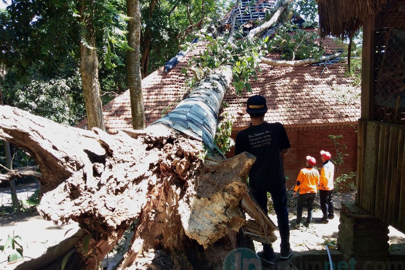 BPBD Kabupaten Mojokerto Minta Waspadai Bencana Alam di Musim Hujan
