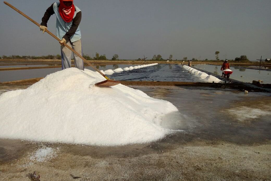 Produksi Garam Jatim Surplus 100 Ribu Ton