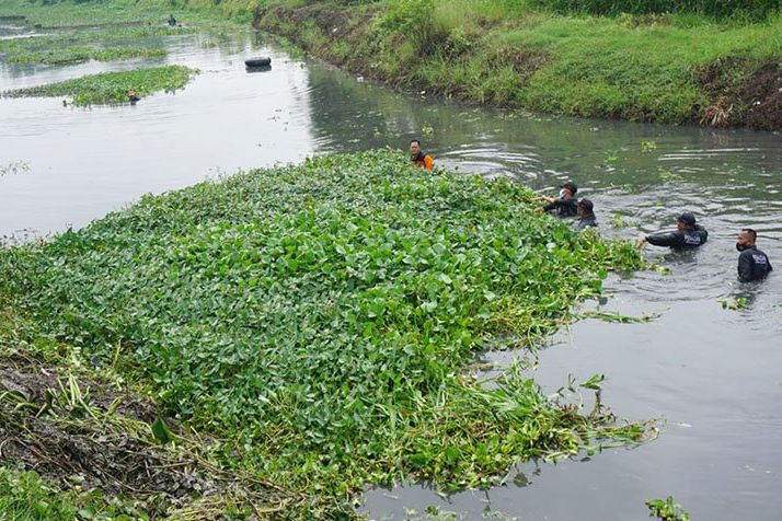 18 Kecamatan di Mojokerto Rawan Bencana Alam, Ini yang Dilakukan Pemerintah