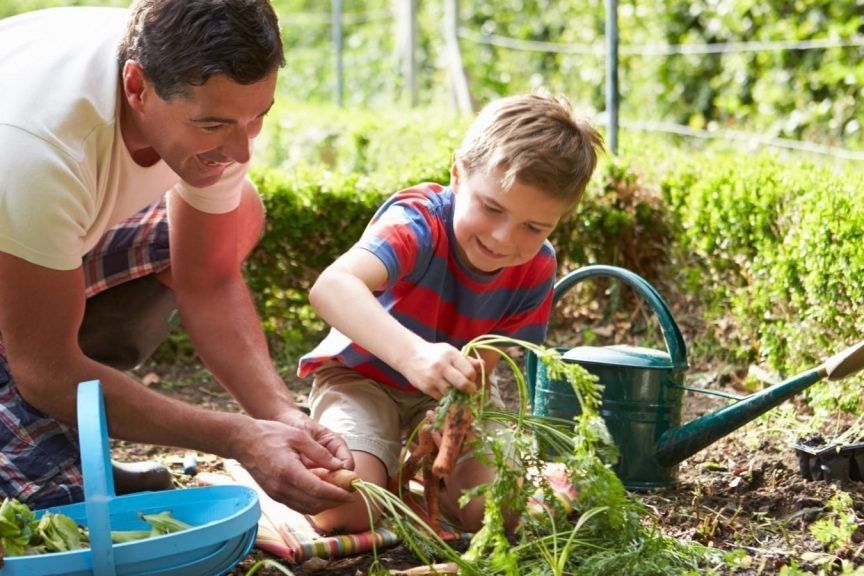 Manfaat Berkebun, Ternyata Baik untuk Kesehatan Tubuh