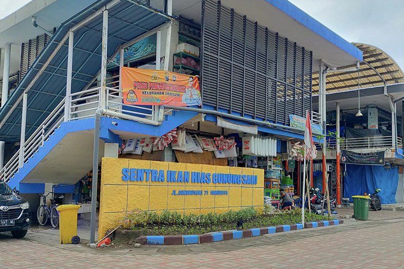 Sentra Ikan Hias Gunung Terus Dipercantik