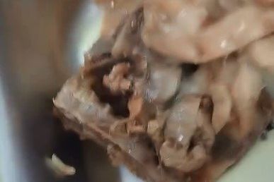 MBG Pertama Kali di Tuban, Siswa Unggah Video Belatung di Makanan