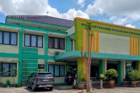 Faktor Cuaca, Penyerapan Pupuk Subsidi di Lamongan Hanya 30 Persen