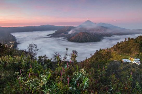 Mendaki Gunung Bromo: Petualangan Sunrise di Kaldera Aktif