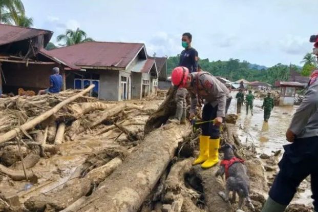Bareskrim Polri Segera Umumkan Tersangka Pembalakan Liar di Tapanuli Selatan