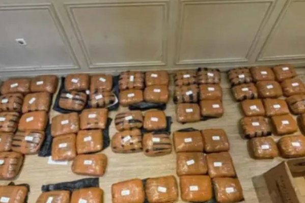83 Kilogram Ganja Disita di Bekasi, Salah Satu Pengedar Wanita