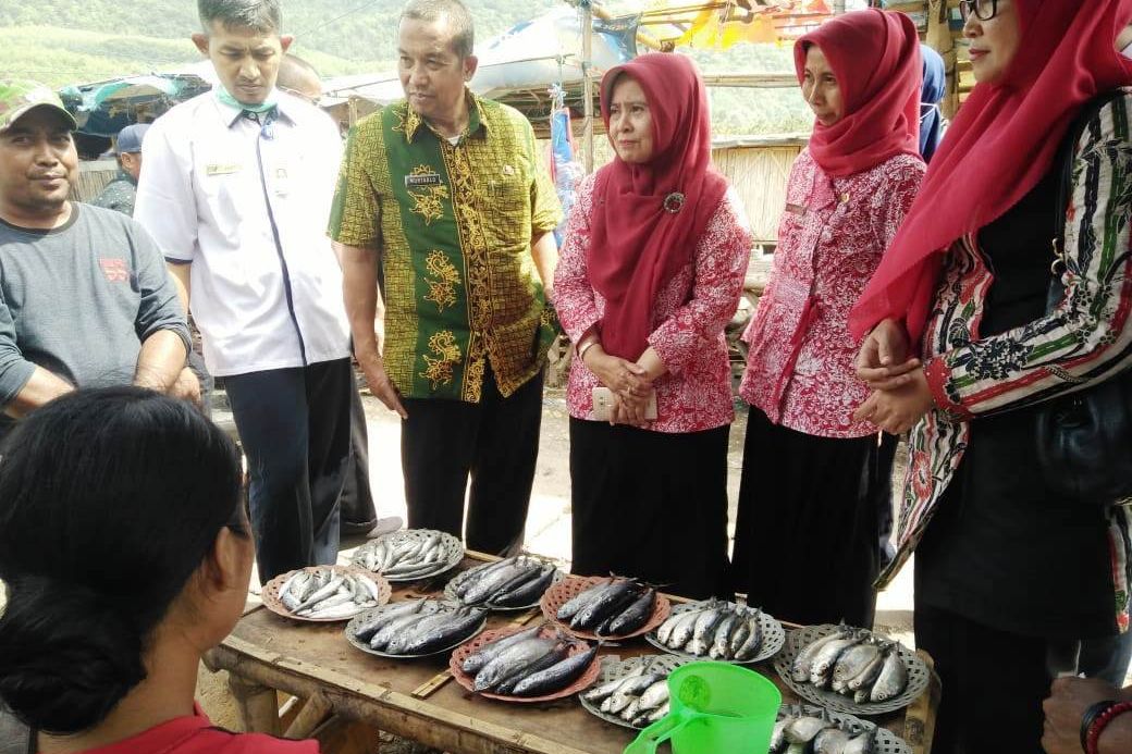 Hasil Uji BPOM, Dinkes Jember: Ikan Tongkol Puger Aman Konsumsi