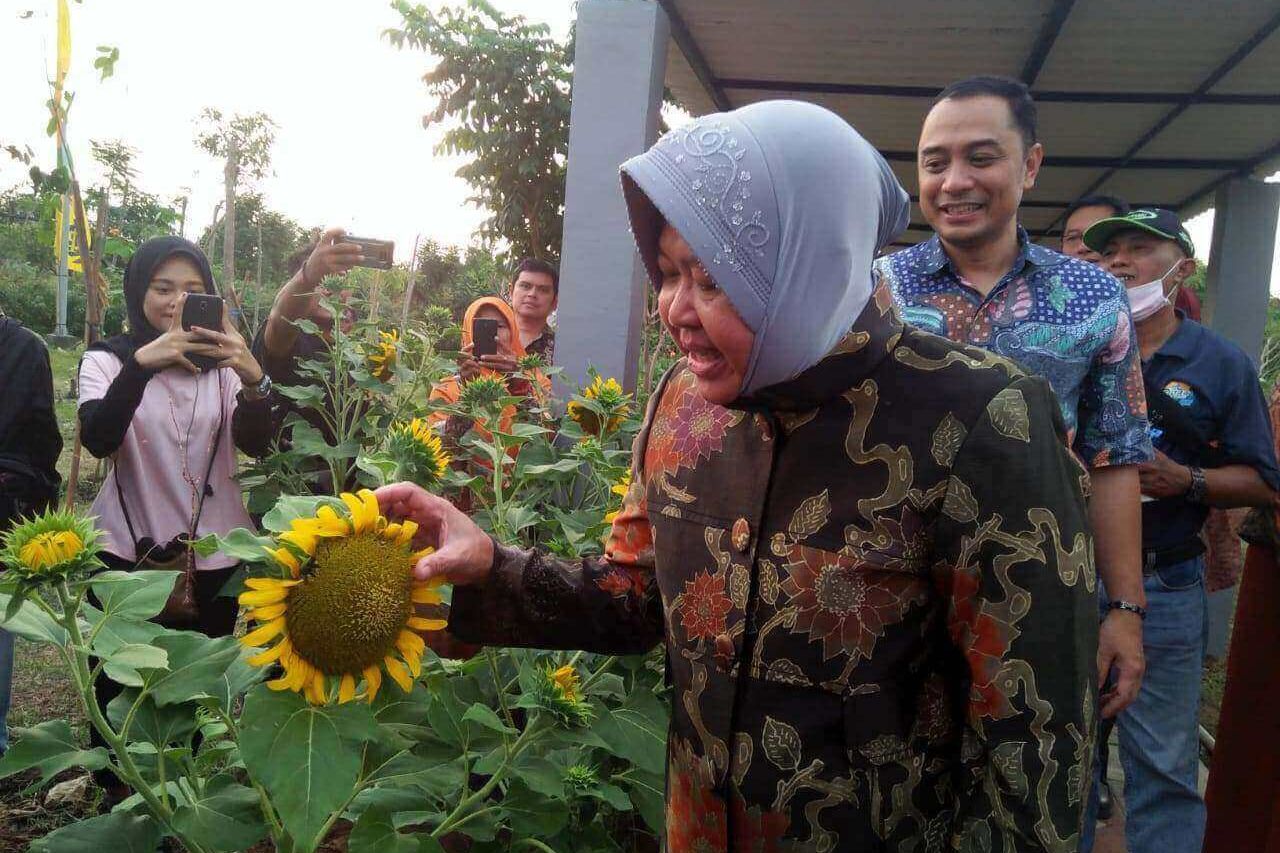 Pemkot Surabaya Ubah TPA Keputih Jadi Taman Harmoni