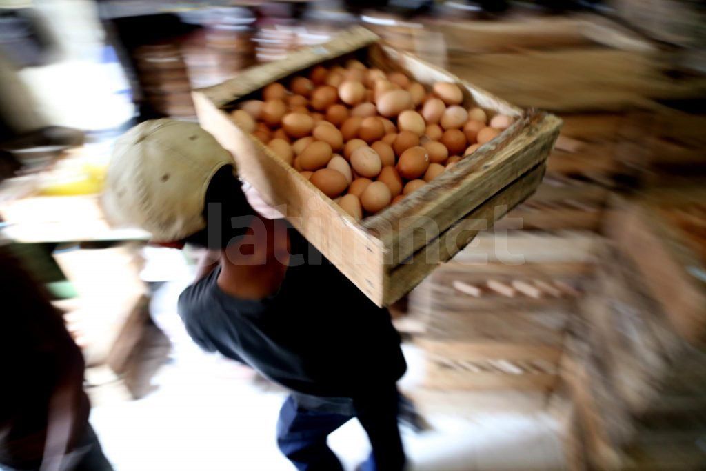 BI Antisipasi Inflasi dengan Klaster Telur Ayam di Blitar